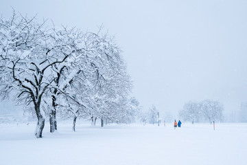 Winterspaziergang