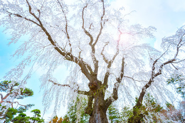 Sainokawara Park iat Kusatsu onsen hot spring town in Gunma, japan