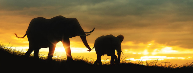 Mother and Baby Elephant African Sunset Silhouette