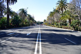 Malaga, Spain, road lined with palm trees in the city.
