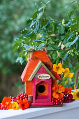 Wooden Bird House