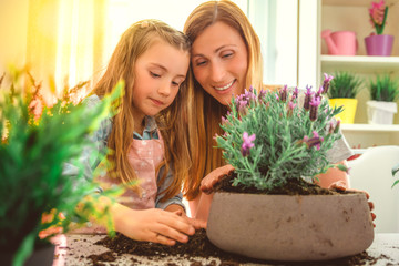 Familie pflanzt Blumen ein