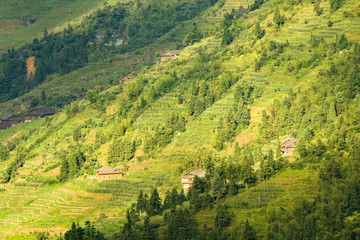 Longsheng rice terraces landscape in China