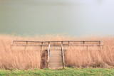 Muelle o pasarela en observatorio de aves