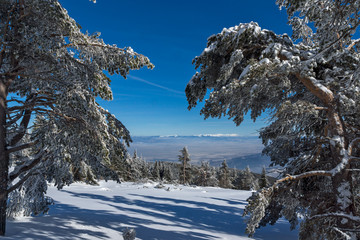 Amazing winter landscape of Vitosha Mountain, Sofia City Region, Bulgaria