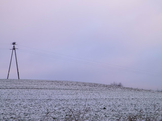 An electric pole on a snowy meadow.