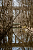Bridge arch reflecting in Blackstone Canal