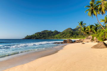 Sunny beach at sunset with palm and turquoise sea in Seychelles.  Summer vacation and tropical beach concept.  