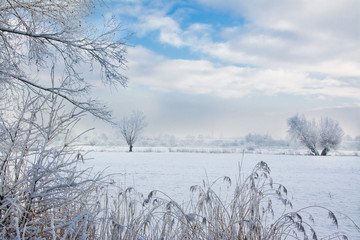 piękny zimowy krajobraz