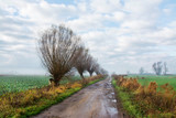 polna droga, piękna jesień