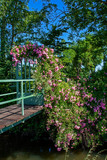 Passerelle fleurie