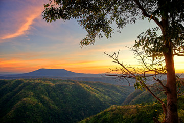 Mountain valley and tree branch at sunset sky : Nam Nao, Phetchabun, Thailand