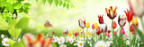 Blumen 1034