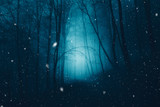 Mystical dark blue foggy forest with snowflakes.