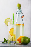 Tonic drink with lemon and lime in a transparent glass with an open bottle on the table