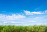 Grüne Wiese mit blauem Himmel und Wolken als Hintergrund