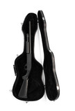 shotgun in a guitar case