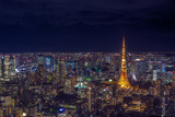 Tokyo cityscape at Japan