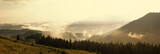 Foggy day in the mountains in summer