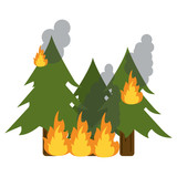 Trees forest in fire