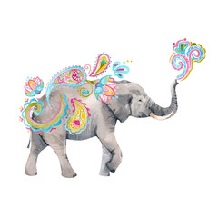 Watercolor elephant vector illustration