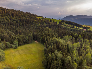Bergwald - Schweiz - Luftaufnahme