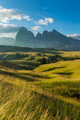 Beautiful landscape of Alpe di siusi in Dolomite, Italy in the morning