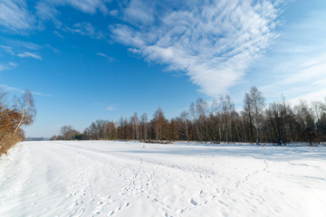 White winter landscape in the forest.