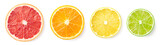 Citrus fruit slices isolated on white background