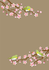 Small birds perch on cherry blossom branch -Zosterops japonicas, Vertical layout