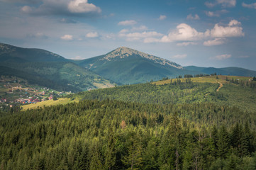  Summer in the Carpathians