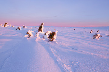 Morning mood in Krkonose (Czech Republic) in winter