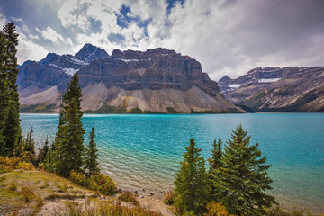  Bow Lake, surrounded by pine trees