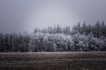 Cold winter days in Czech