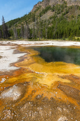 Geyser in Black Sand Basin in Yellowstone National Park in Wyoming