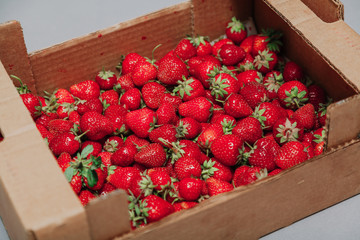 Red ripe strawberries in cardboard box on white background