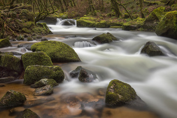 River flowing through woodland in winter at Golitha Falls, Cornwall, UK