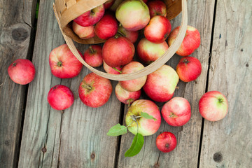 red Apples in pottle on wooden background