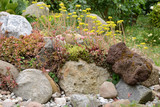 Garten 873