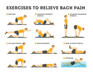 Exercise set to relieve back pain. Stretching and training