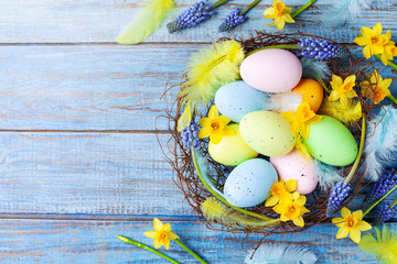 Easter background with colorful eggs in nest, feather and spring flowers top view. Holiday card or banner.