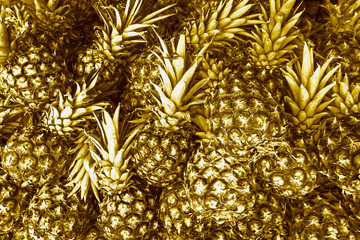 Gold pineapples background