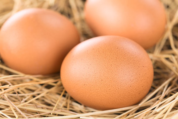 Fresh raw brown eggs on hay (Selective Focus, Focus on the front of the first egg)