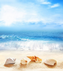 Summer beach. Seashell on a sand and ocean.