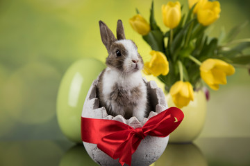Easter decoration, rabbits,eggs and flowers