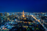 Tokyo tower night time, wide angle view, Japan.