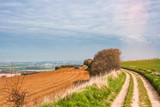 plantations de printemps