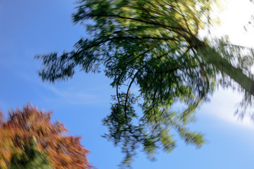 motion blur sky look up