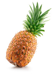 pineapple isolated on a white background