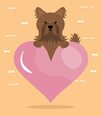 cute little dog mascot with heart